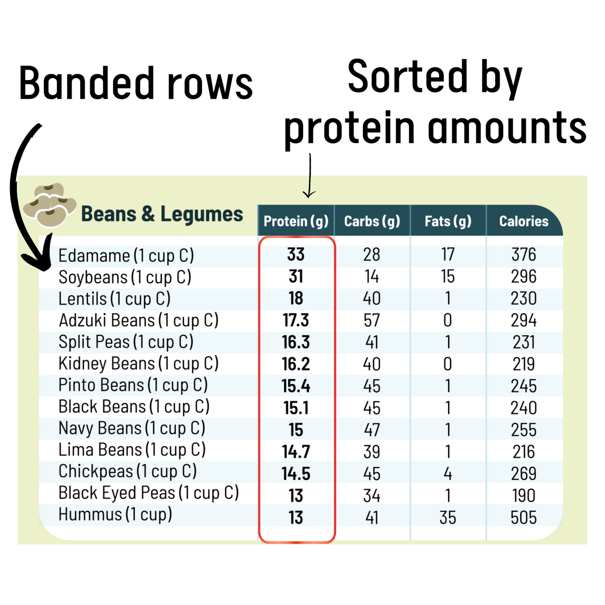 Vegan Protein Cheat Sheet Magnet - High Protein Vegan Diet Magnetic Chart - Plant Based Muscle Building Guide for Vegetarians & Vegans - Infassic Meatless Food Chart - 8.5” x 11”